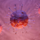 Coronavirus Türgriffe