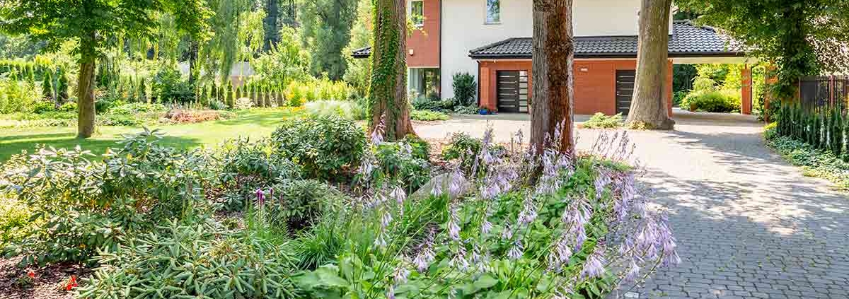 Ein Blumenbeet und mehrere Bäume vor einem Einfamilienhaus mit Zufahrt - Immobilienwert
