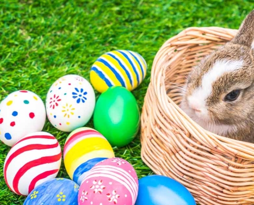 Ein Kaninchen in einem Korb mit bunten Eiern - Osterhase sucht Gewerbeimmobilie