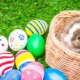 Ein Kaninchen in einem Korb mit bunten Eiern - Osterhase sucht Gewerbeimmobilie