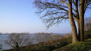 Der Elbwanderweg befindet sich gleich um die Ecke