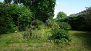 Ein fantastischer Blick in den Garten