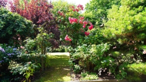 ...auf wundervoll eingewachsenem Grundstück