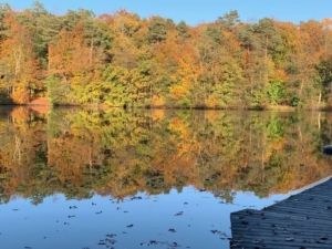 In unmittelbarer Nähe der Lütauer See, der zum Schwimmen......