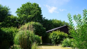 ...denn er ist groß und wundervoll eingewachsen