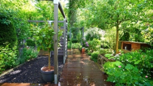 Im Garten finden Sie ...