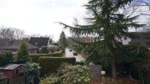 In wenigen Schritten gelangen Sie zum Volksdorfer Wald