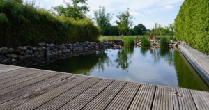 ...mit Schwimmteich...