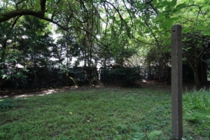 ...mit Blick in den hinteren Gartenbereich