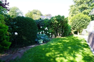 Ihr Garten ist toll eingewachsen...
