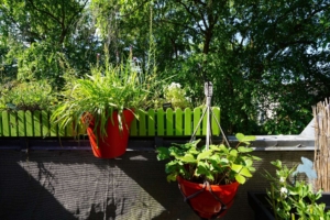...mit Zugang zur Loggia
