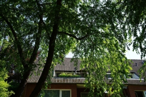 ...und von der Loggia genießt man den Blick ins Grüne